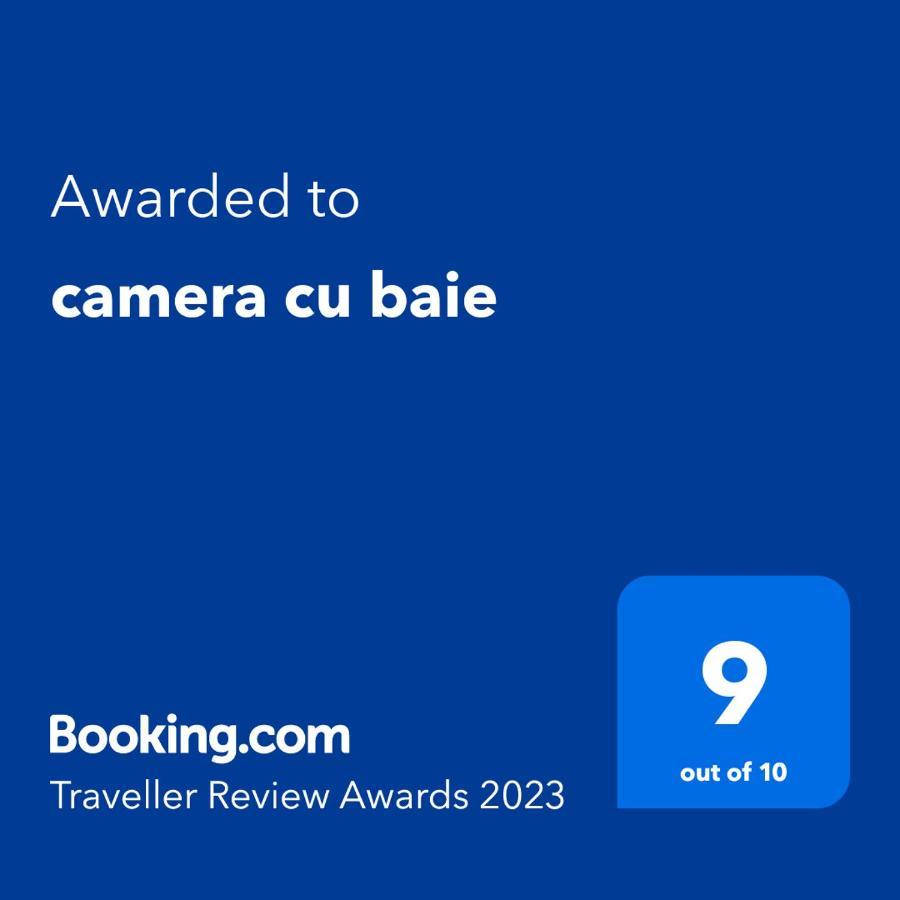 Camera Cu Baie Tina 티미쇼아라 외부 사진
